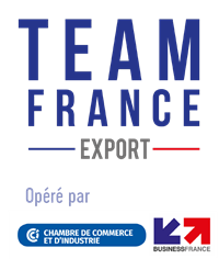 LOGO TEAMS EXPORT CCI